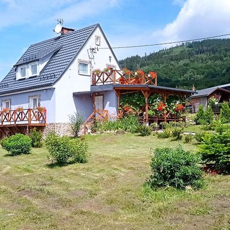 Villa Sowi Dom - Jugów Exterior foto